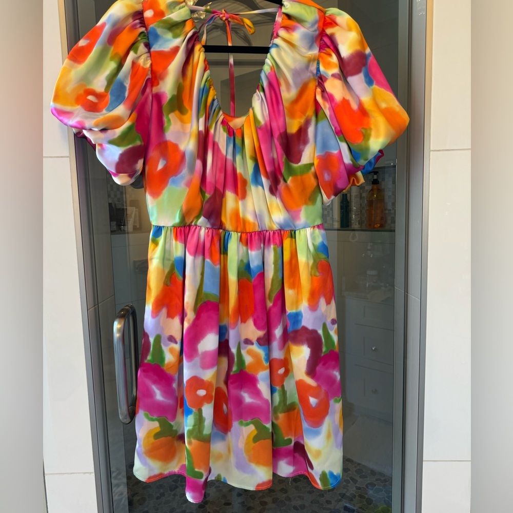 Crosby by Mollie Burch Rainey dress, size small, NWT. Flower market pattern.
